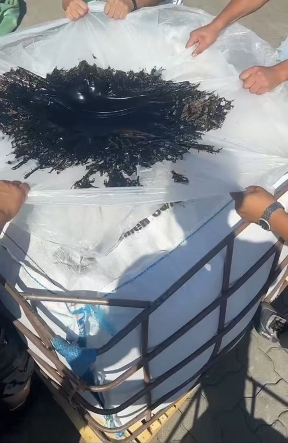 Bitumen